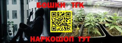 амф Донской