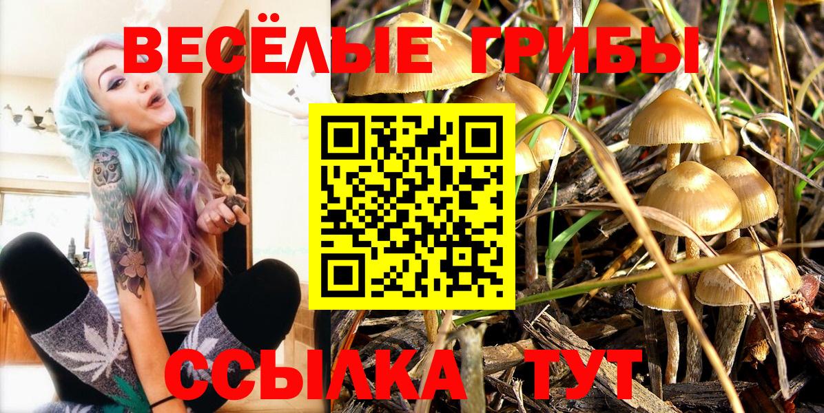 Старый Оскол  Псилоцибиновые грибы MAGIC MUSHROOMS  Вход с VPN 